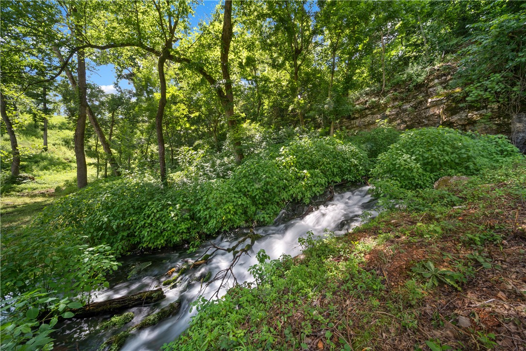 Healing Springs Phase 2 - Land