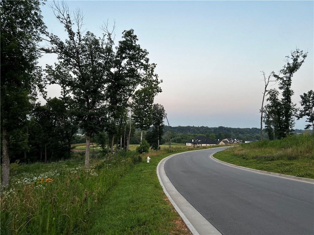 Healing Springs Phase 2 - Land