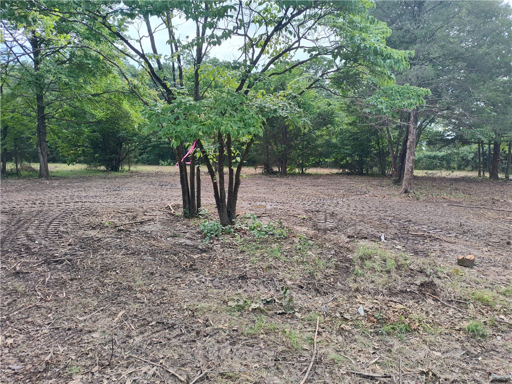Cleared area for home/septic and perc test already completed. Garfield water available at the street. Lots of dogwood trees throughout the property. Five level acres for your home and shop and plenty of room left over. All of the property is a potential building site. The location is ideal. Outside city limits but not far from town. Within 10 minutes of Rogers and Pea Ridge and 25 minutes of Walmart headquarters. This land offers beautiful space for a large yard and a garden. Regular sightings of deer and maybe an occasional turkey. More/less land may be available. White flagging and post with lot numbers along driveway are approximate only. Best and fastest way to property is from Hwy 127 in Garfield. About 3 minutes from the Short Stop gas station in Garfield.