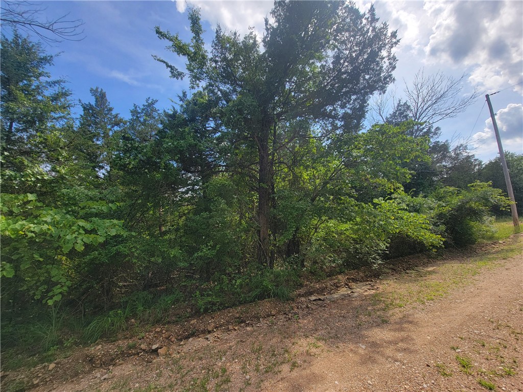 Evergreen Park Sub - Land
