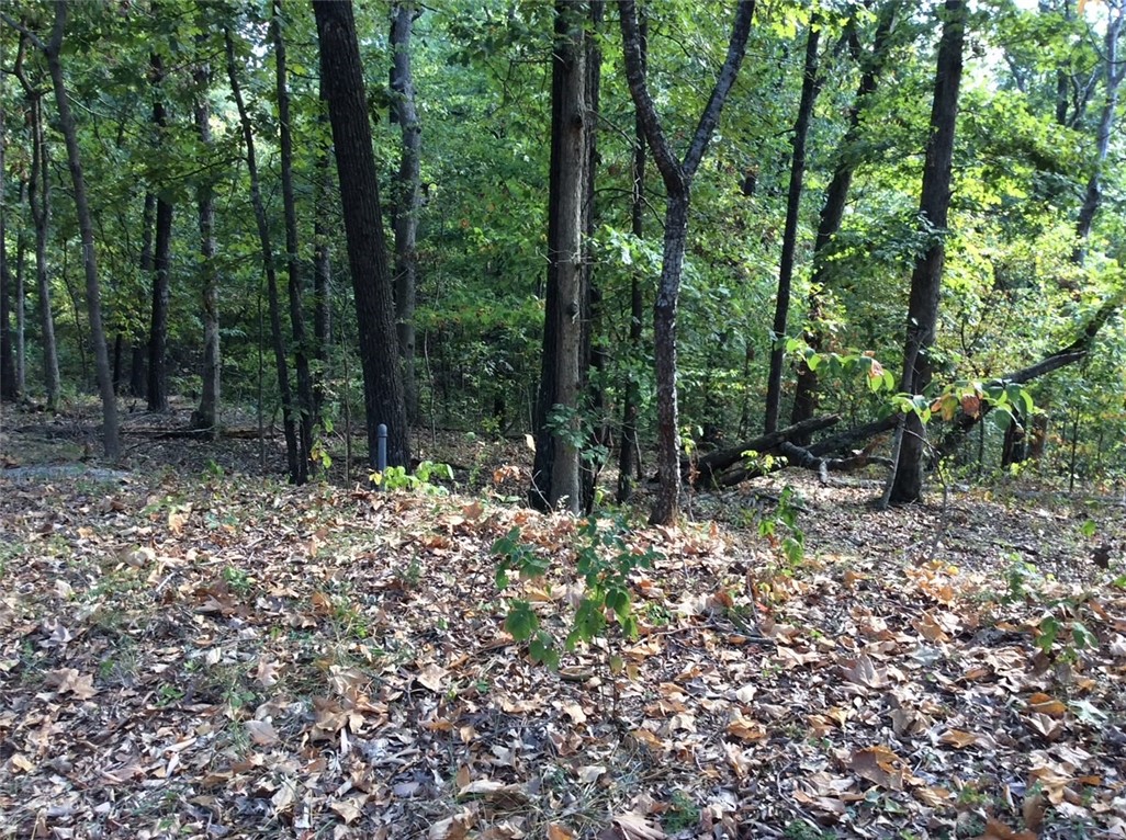 Nice .3 Acre lot situated on Quiet Cul-de-sac street. Beautiful Wooded lot with Completed Perc test available. Located in the desirable Bella Vista community, you're just minutes away from shopping, dining, and recreational amenities. Enjoy the nearby Bella Vista Lakes, golf courses, and hiking trails, making this location a haven for outdoor enthusiasts. Experience all that Bella Vista has to offer - Fine dining, 99 holes of golf, beach access, campgrounds, disc golf, a sauna, dog park, fitness facilities, mini golf, parks, pavilions, a gun range, pickle ball, tennis, swimming pools, and more than 100 miles of trails for hiking and biking, 7 scenic lakes around!