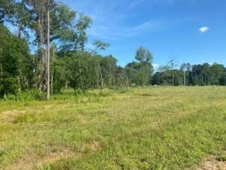This 2.37 acre lot has been surveyed, marked with metal fence posts, and has frontage on both Morgan Rd and Jolea Beth Lp. All utilities are available at the road for an easy build! Close to some of Arkansas' best hiking, biking, and floating. Hurry...this is the perfect spot to build your dream home!911 Address is 568 Jolea Beth Loop****