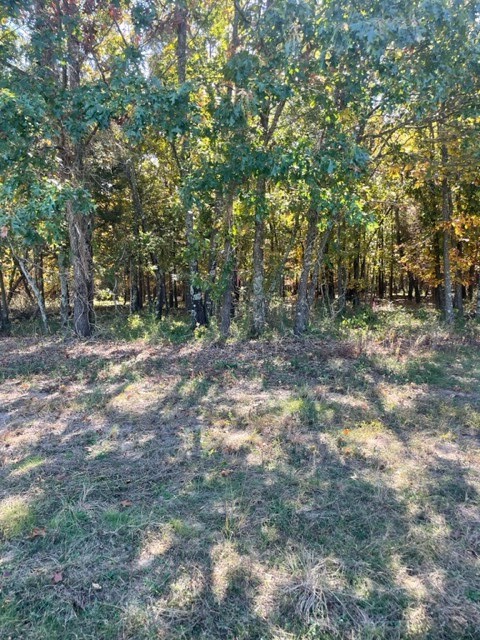 Just outside city limits, city water line to be installed this fall. Beautiful partially wooded acreage with some cleared and flat areas for building spots.