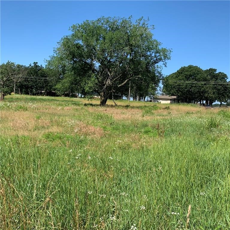 A property with development potential or farm use out Tonti town limits, Build the house of your dreams natural gas and water across the street.