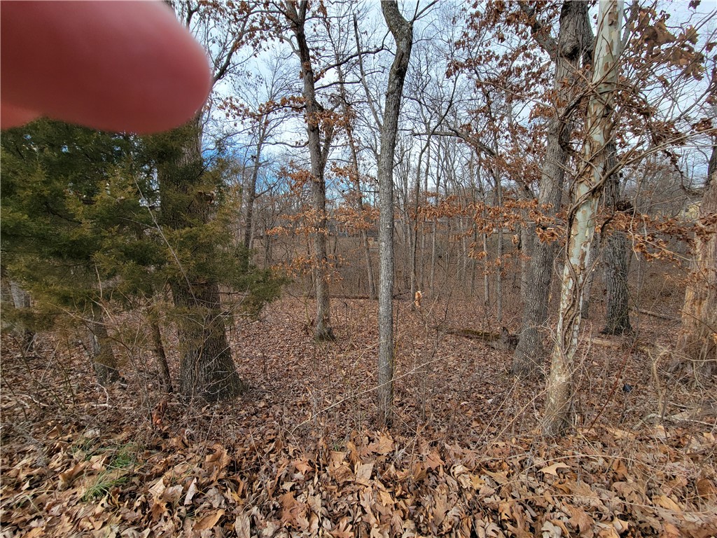 This lot has SEWER access! Builder's delight. GPS coordinates are 36.488945, -94.256250.