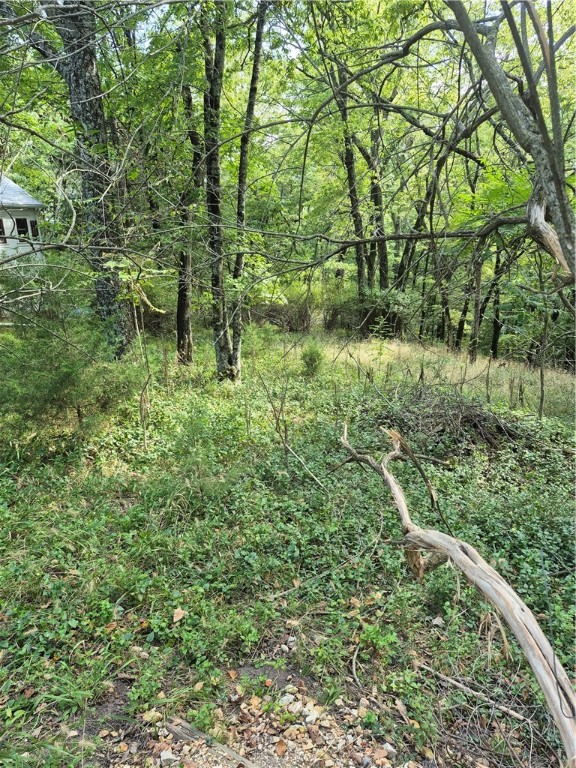 Owner has had a survey done showing these lots which is on this listing. A roadway would need to be built down Fritz Street to get to the Lot 23. Very wooded with trees and overgrown brush. Perfect property for the person who loves woods but loves to walk as you are just close to downtown. Water would come from above the property with a sewer line being in the bottom of the hollow. You will absolutely fall in love with the plans for an enchanted cottage.