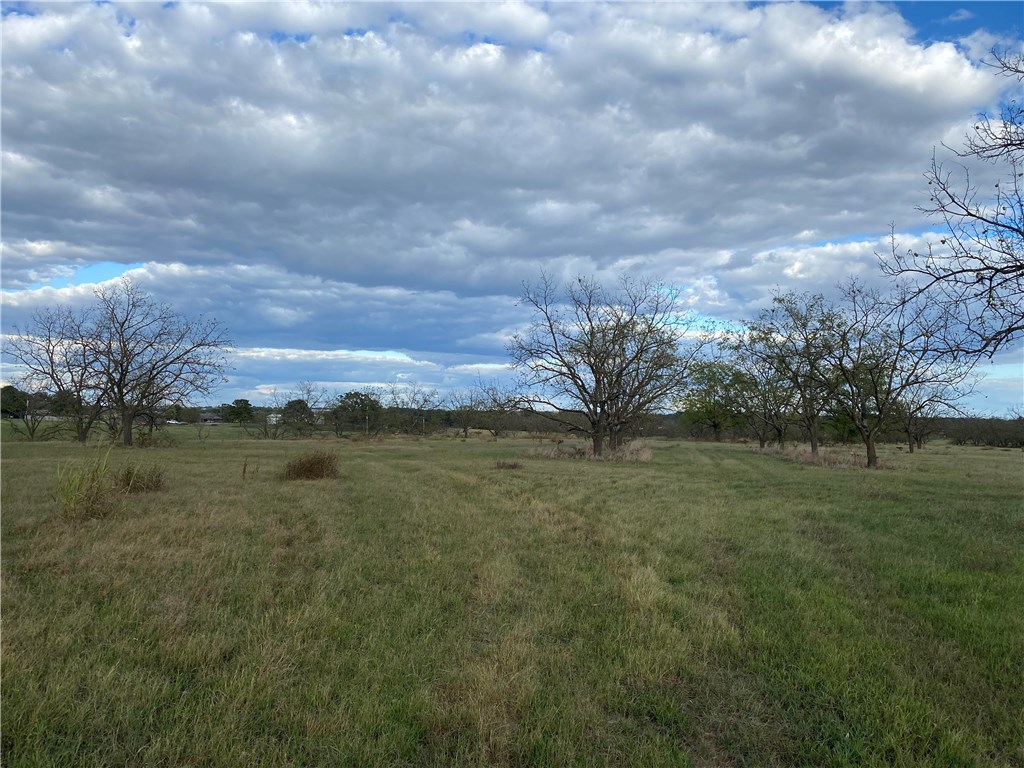Walnut Grove - Land