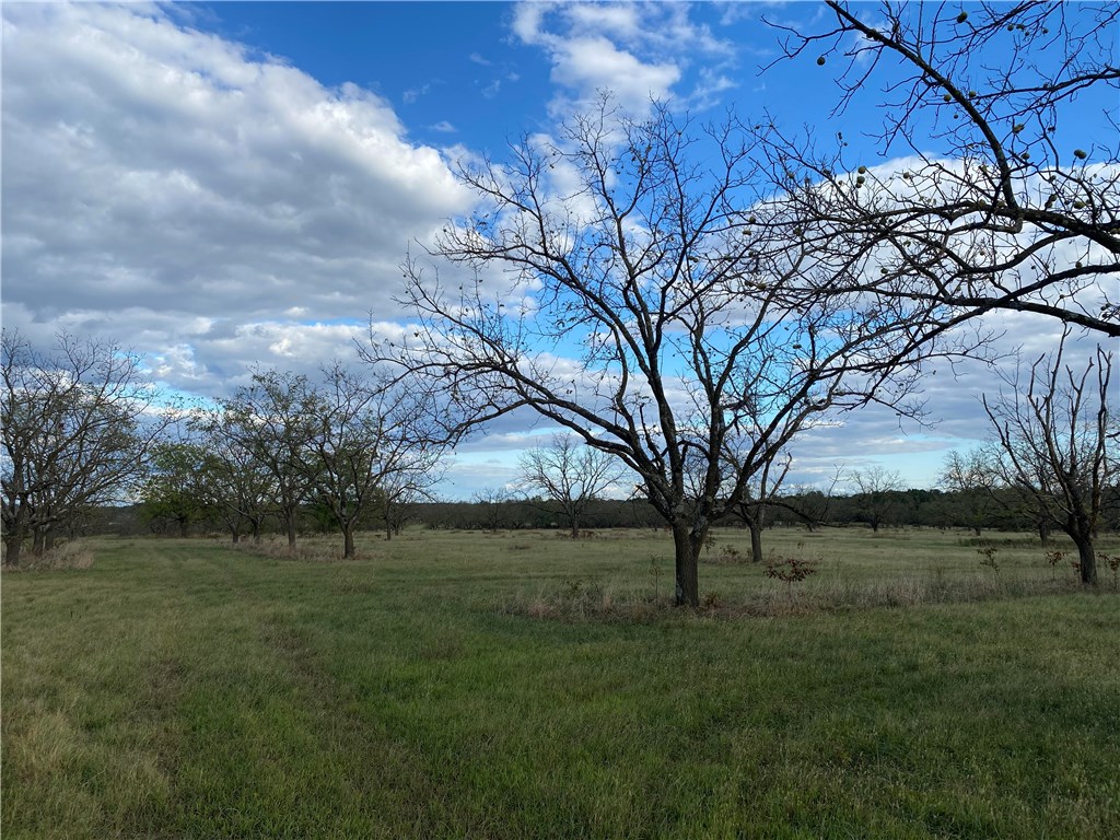 Walnut Grove - Land