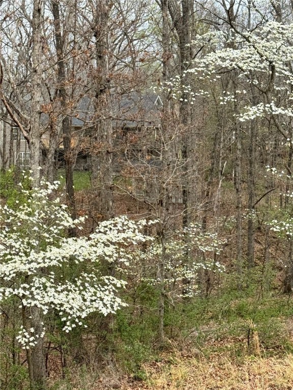 Allendale Sub Bvv - Residential