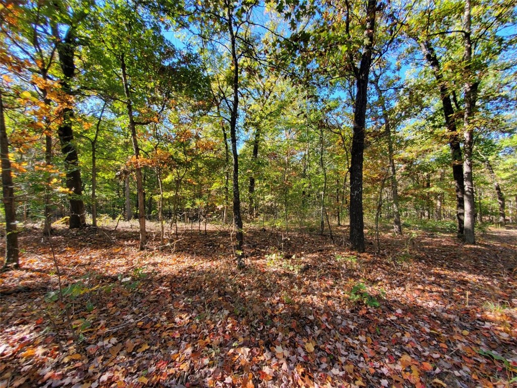 Build your dream home with plenty of outdoor space on this 3.5 acres! This property lays really nice and
would be an amazing location just outside of Fayetteville! Approximately 10 minutes to I49 at Wedington
exit and about 15 minutes to Farmington and Prairie Grove. Agent Owned