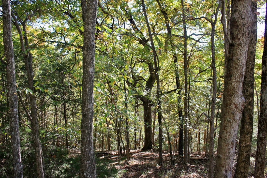 Woodlake Estates - Land