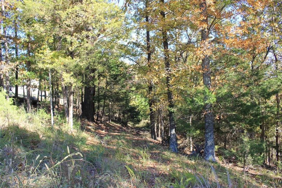 Woodlake Estates - Land