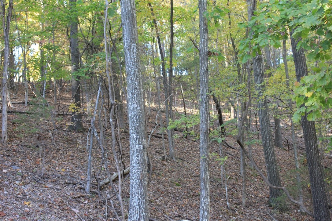 Woodlake Estates - Land