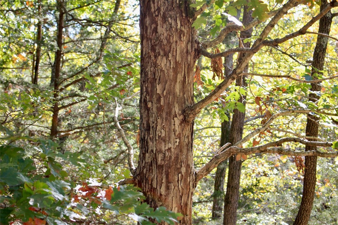 Woodlake Estates - Land