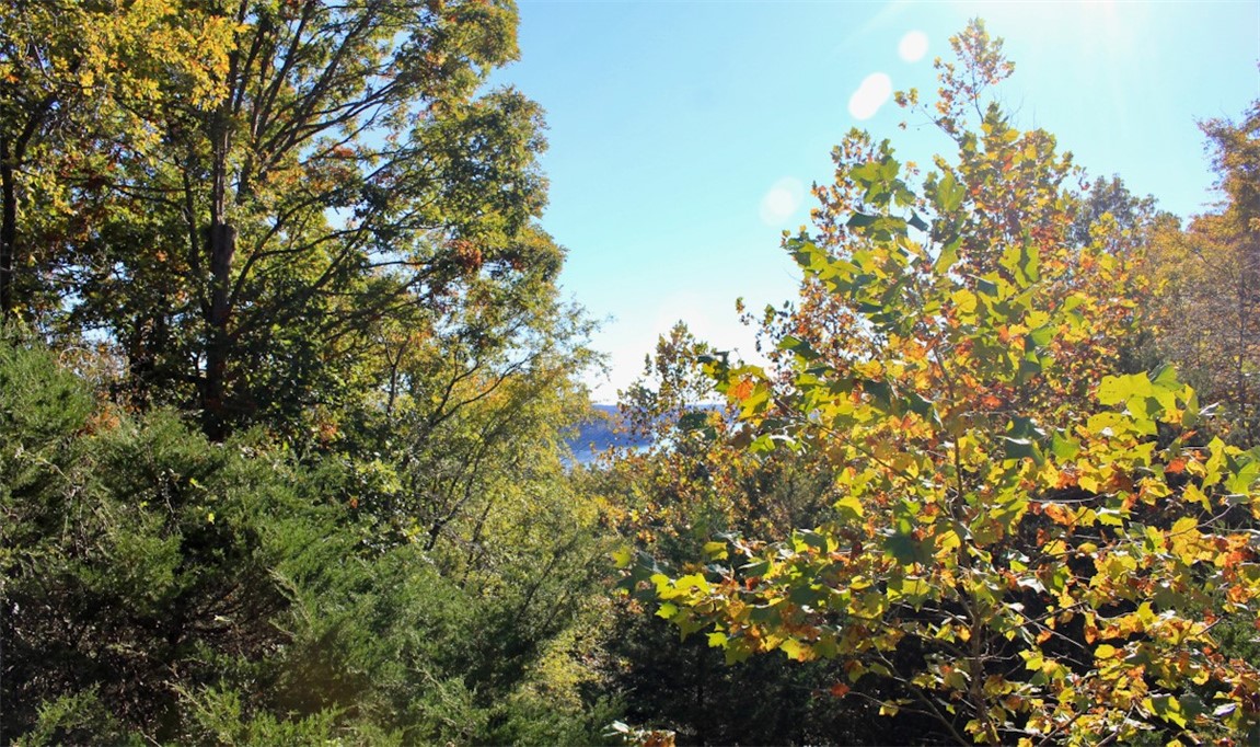 Woodlake Estates - Land