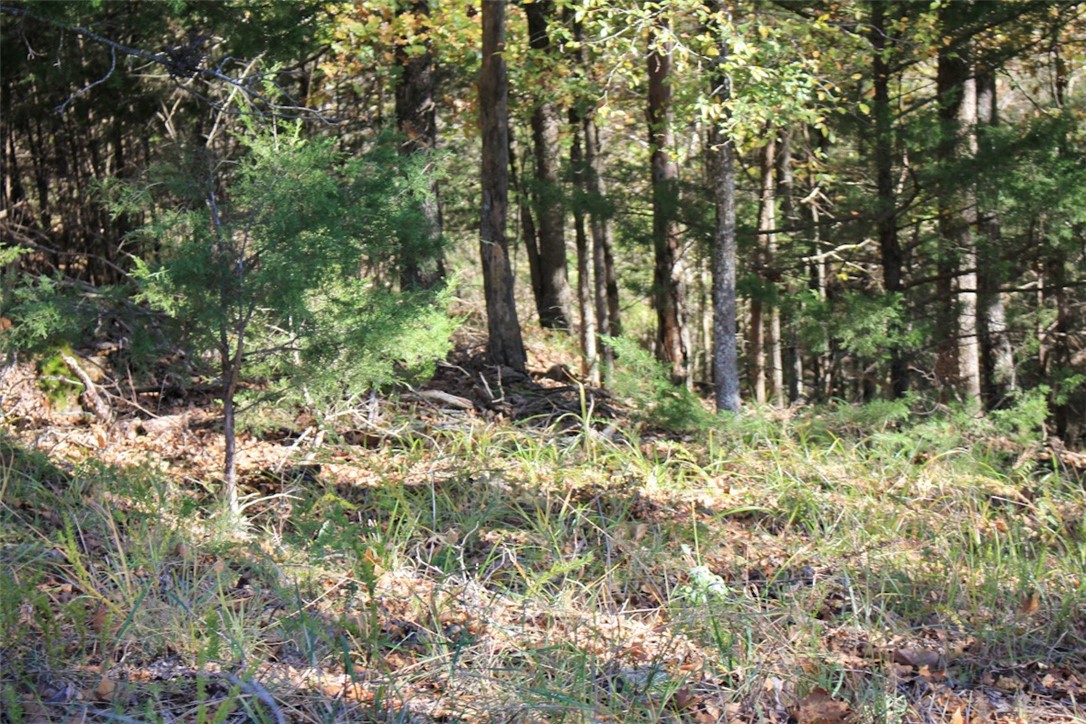 Woodlake Estates - Land