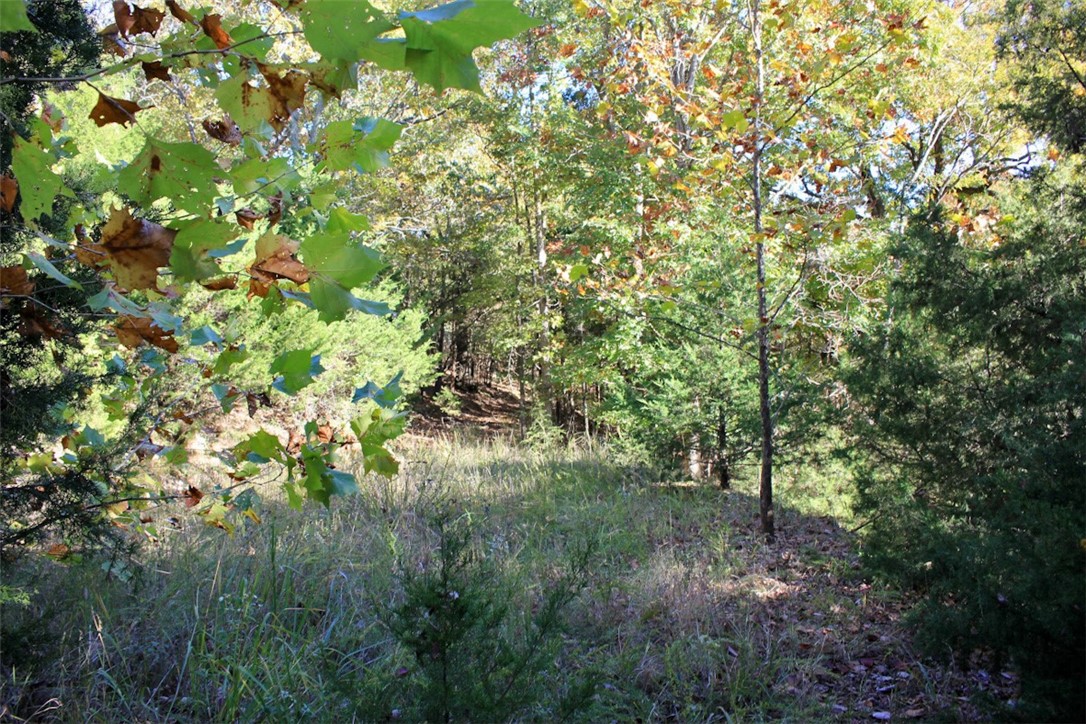 Woodlake Estates - Land