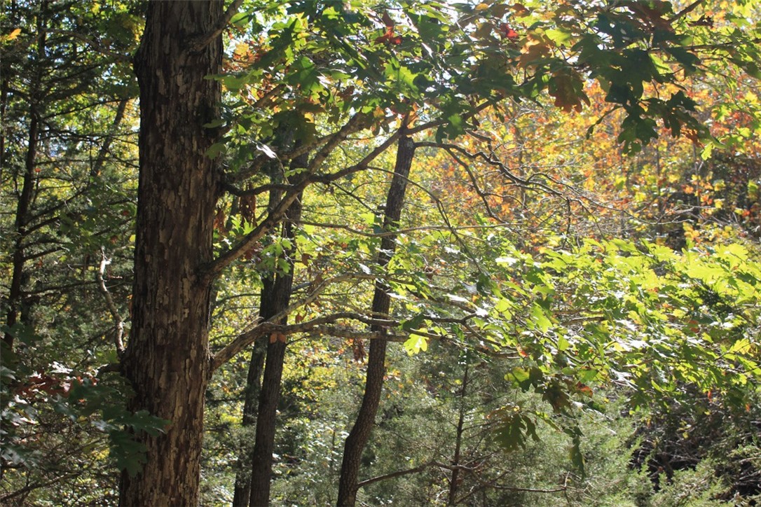 Woodlake Estates - Land