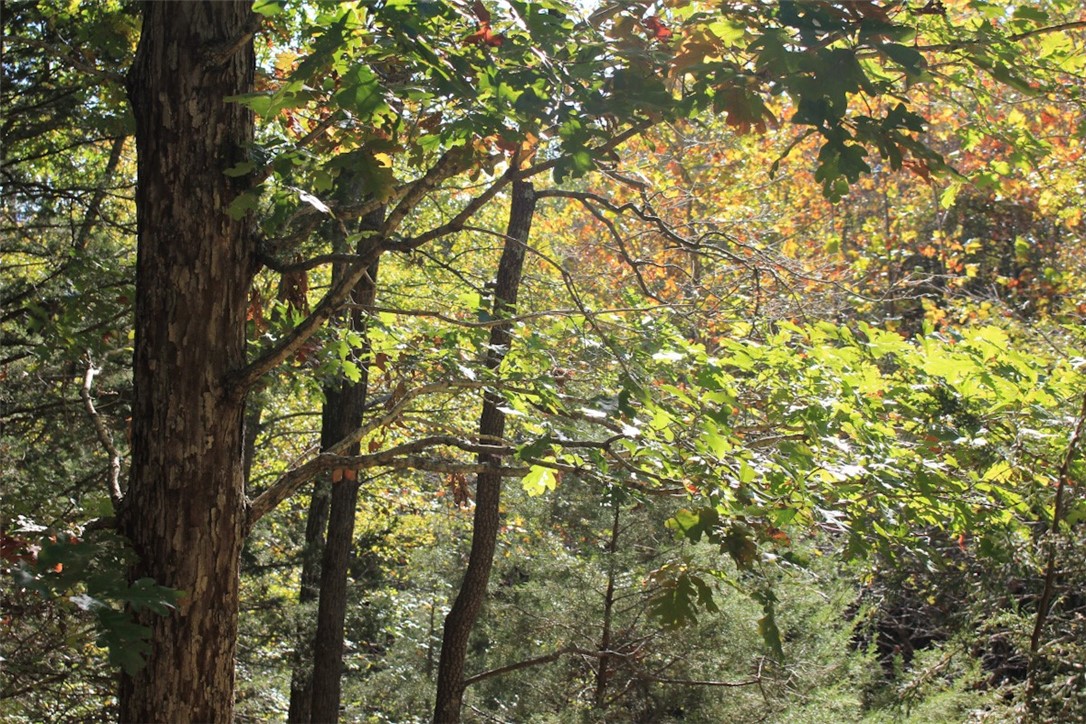 Woodlake Estates - Land