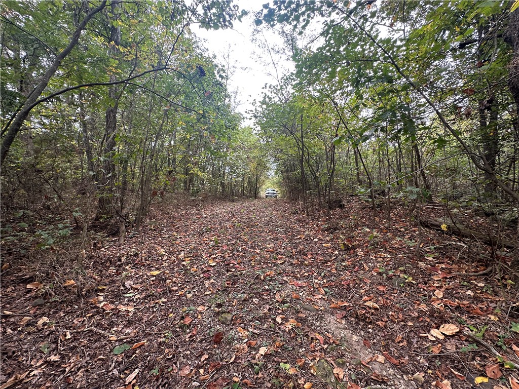 Forest Heights So #2 - Land