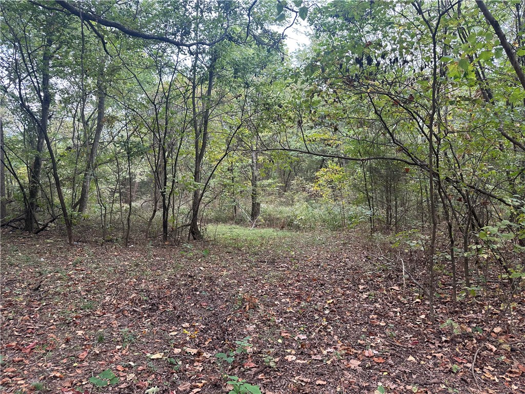 Forest Heights So #2 - Land