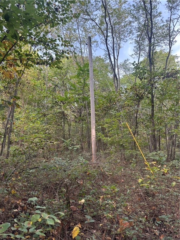 Forest Heights So #2 - Land