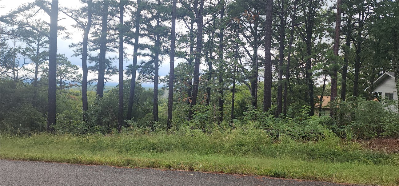 Unit 8 Holiday Island - Land