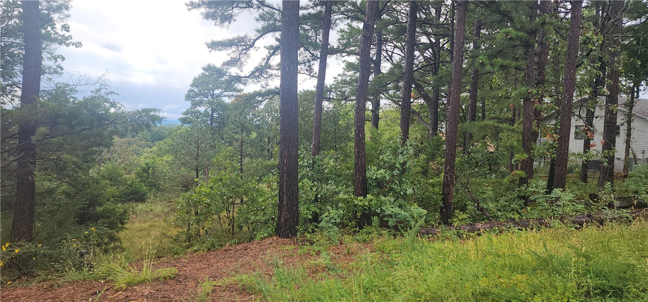 Unit 8 Holiday Island - Land