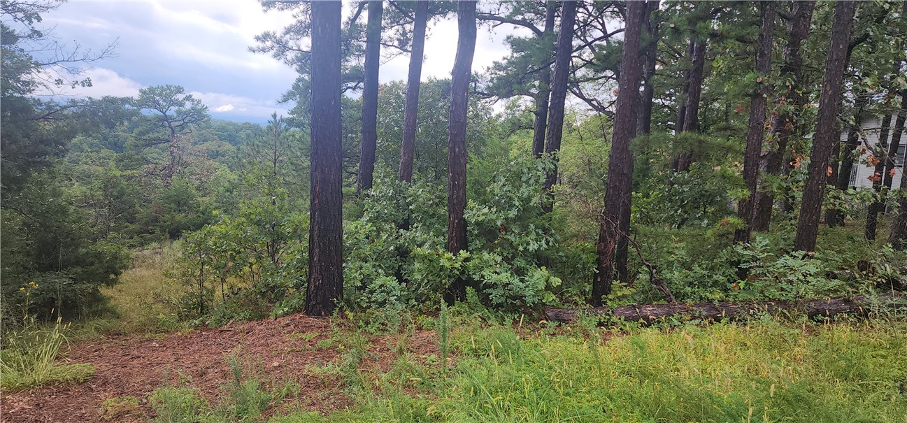 Unit 8 Holiday Island - Land