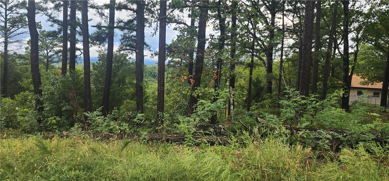 Unit 8 Holiday Island - Land