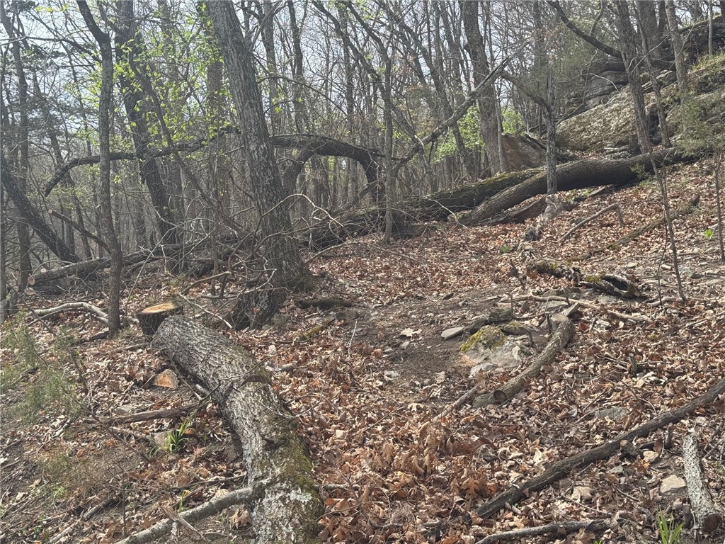 Lost Bridge Village - Land