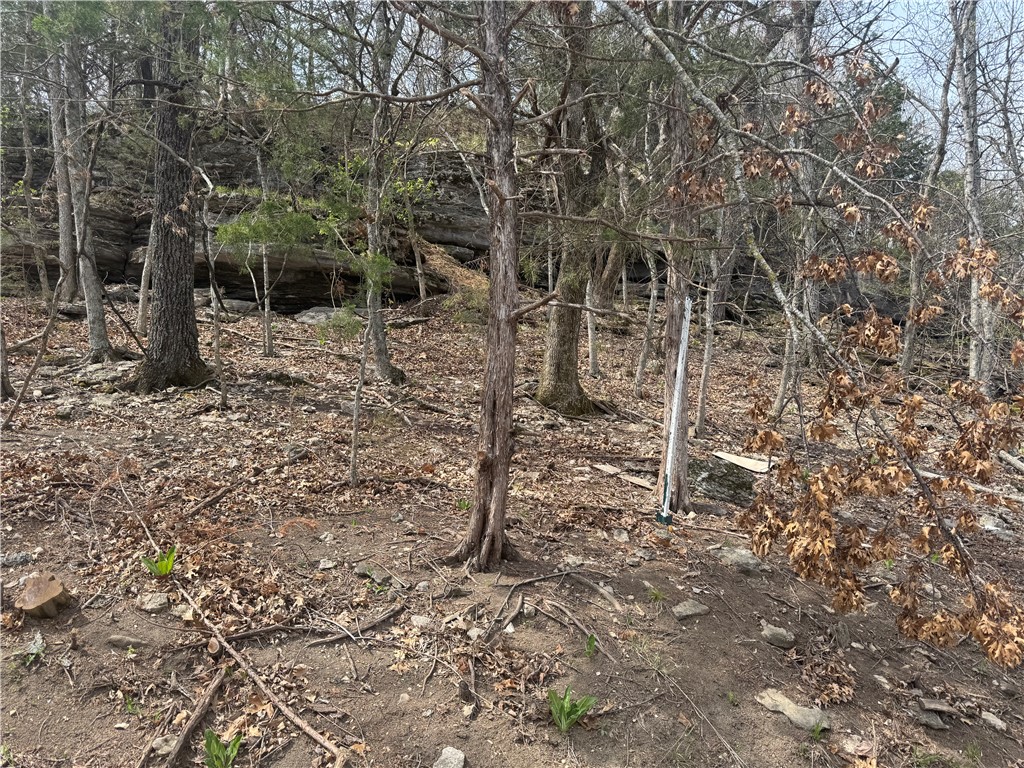 Lost Bridge Village - Land