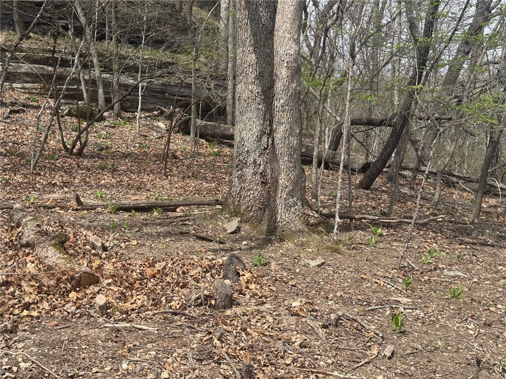 Lost Bridge Village - Land