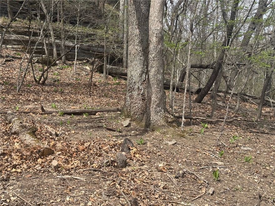 Nestled among mature trees and a beautiful limestone bluff, this homesite offers a peaceful setting with minimal maintenance and excellent potential for a cozy cabin or full-time residence.  Utilities are available at or near the street, making development convenient.  Located just minutes from Beaver lake access, boat ramps, and Lost Bridge Marina. Enjoy community amenities including pool, pickle ball courts, clubhouse, airstrip, and more. Ideal for a weekend retreat, investment property, or low maintenance lake living.