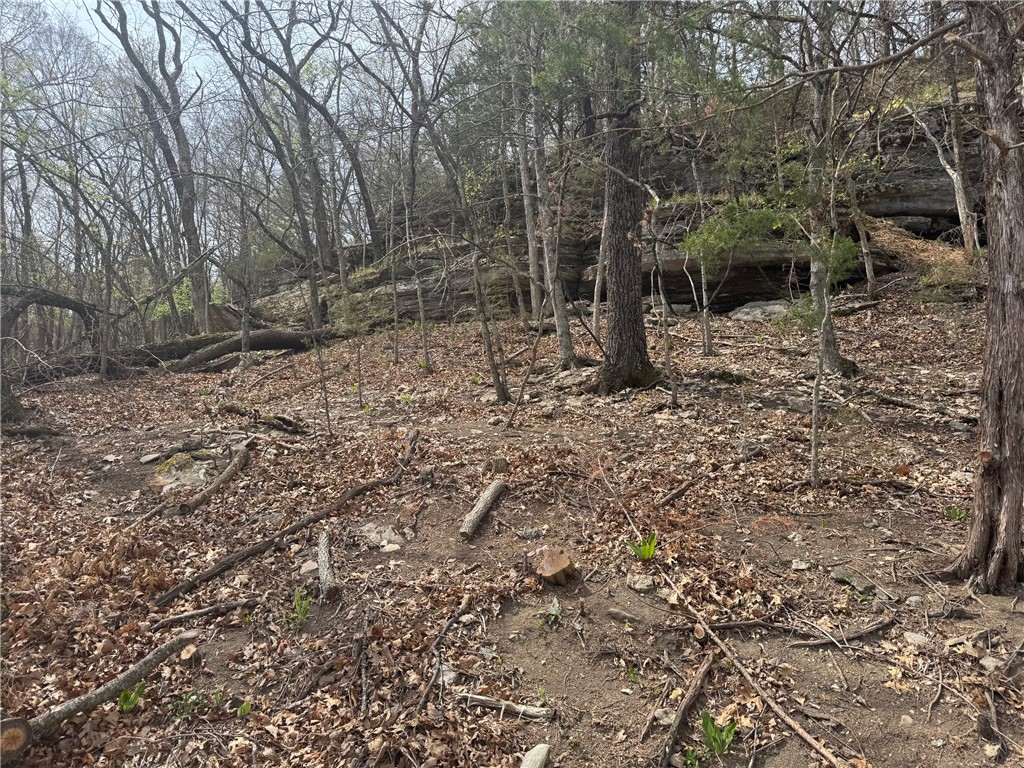 Lost Bridge Village - Land