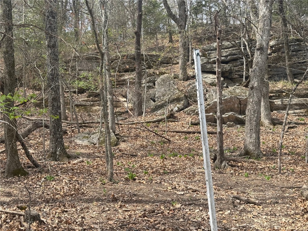 Lost Bridge Village - Land