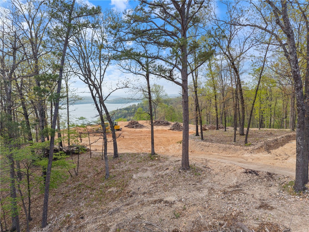 Eagle Bluff Shores Rurban - Land