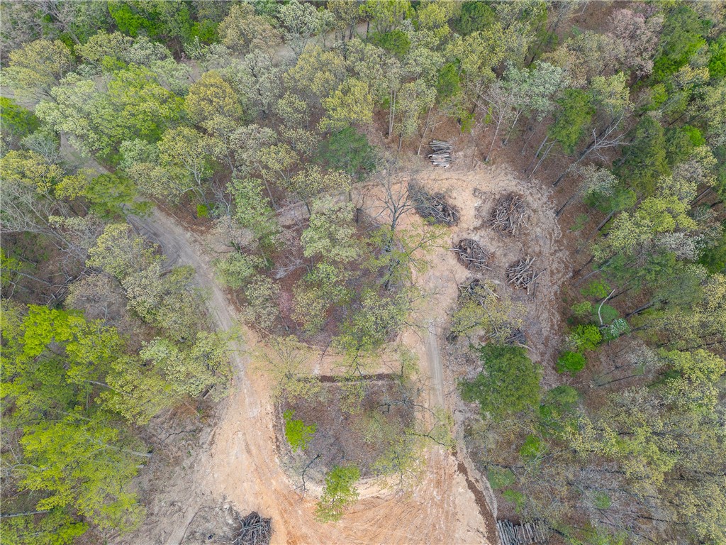 Eagle Bluff Shores Rurban - Land