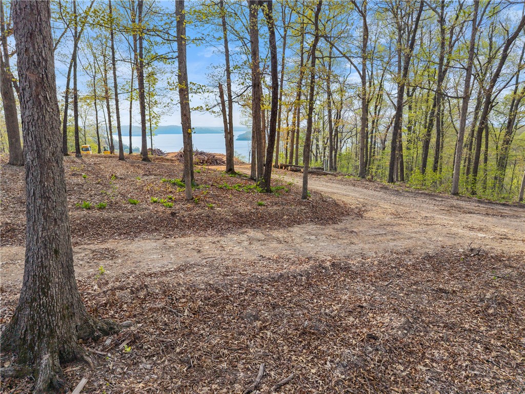 Eagle Bluff Shores Rurban - Land