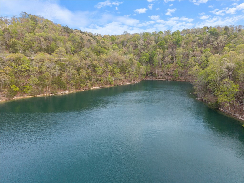 Eagle Bluff Shores Rurban - Land