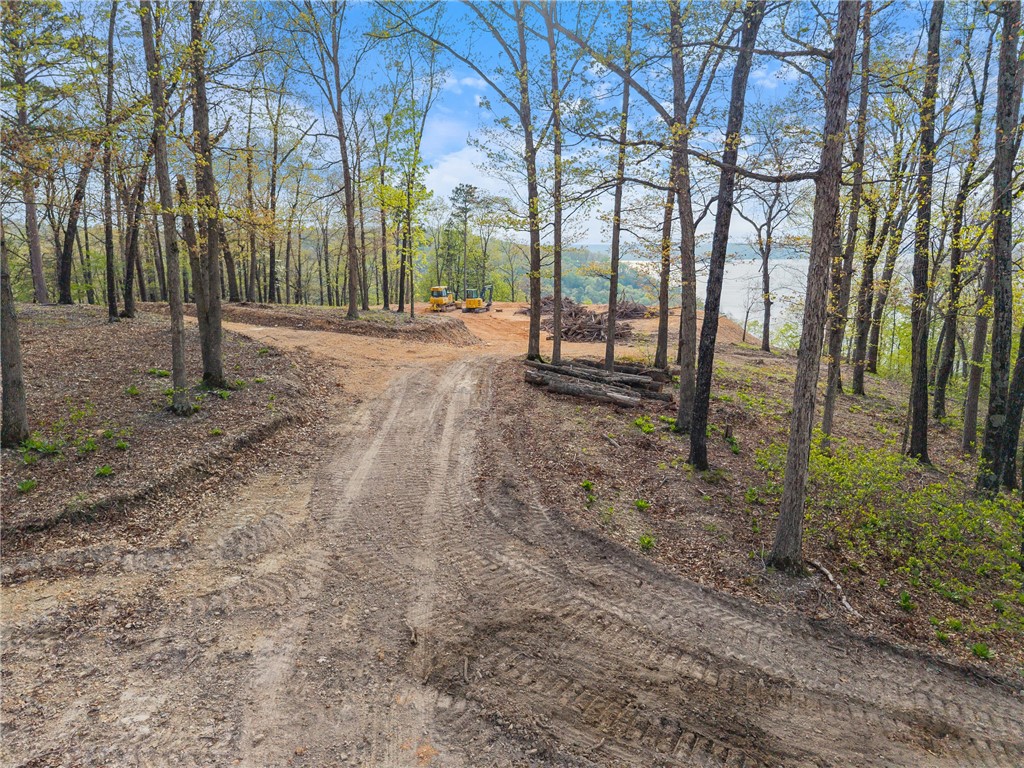 Eagle Bluff Shores Rurban - Land