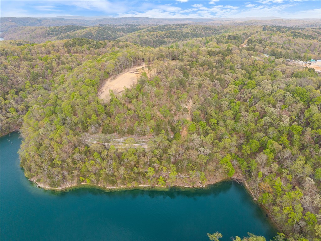 Eagle Bluff Shores Rurban - Land