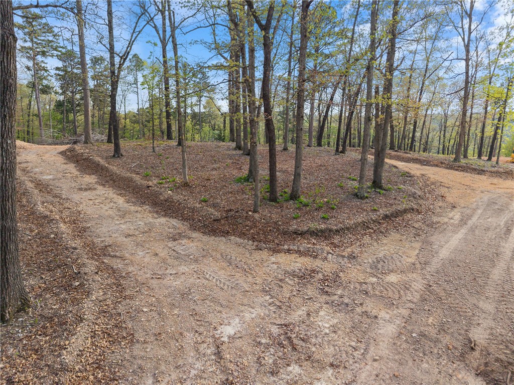 Eagle Bluff Shores Rurban - Land