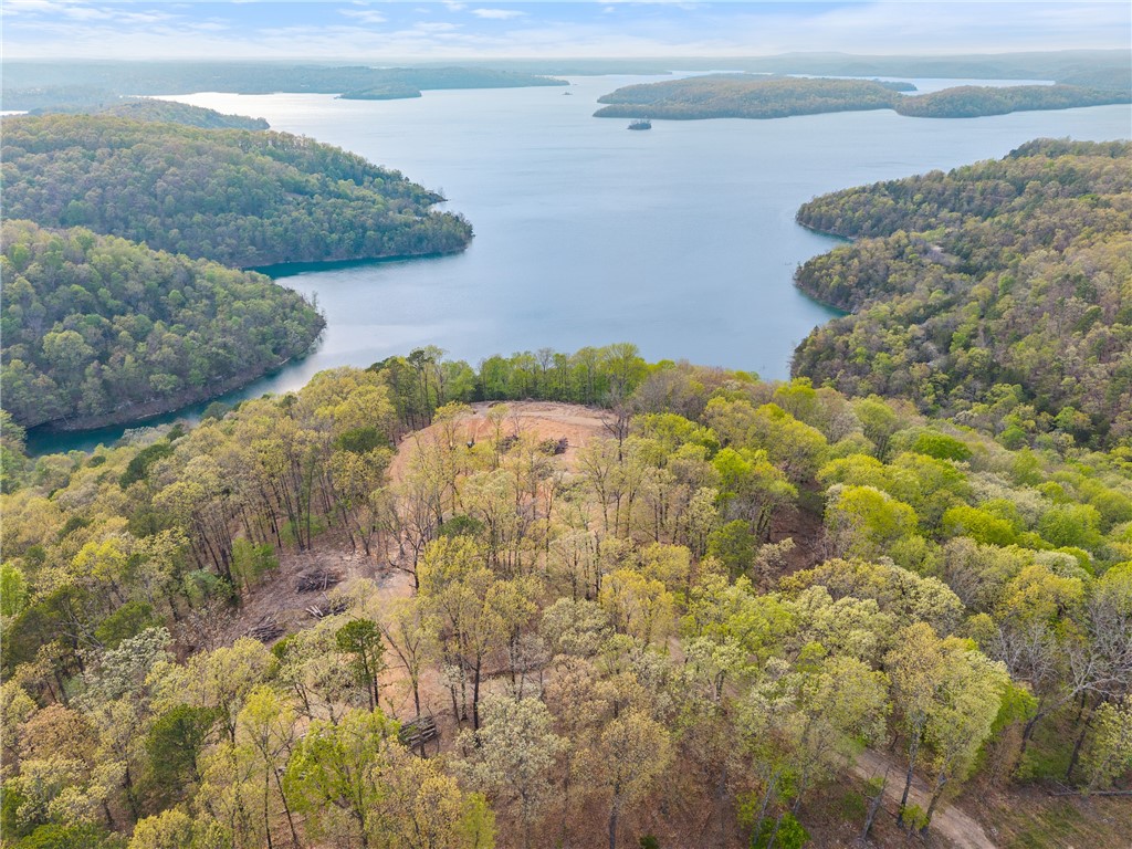 This property is a real gem with 1,140 ft of lake front. Not only does it have a breathtaking view there is a boat launch right up the road about 1 1/2 miles that puts you in at hogscald, the party cove, and a Marina is close by. Just a few coves over they will be putting in a boardwalk and campground area so the potential is amazing. The Seller has already completed significant dirt-work including a large pad laid out perfectly for building a house with an epic view. Water is on sight with both a wet tap and dry tap from the Water District. This entire property is unrestricted offering endless investment alternatives. The Water District needs keep the dirt road constantly maintained.