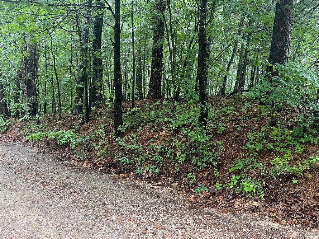 0.54-acre lot located just south of Jasper. Property has county road frontage with access to utilities. Would make a great place to build a small cabin or park your RV.