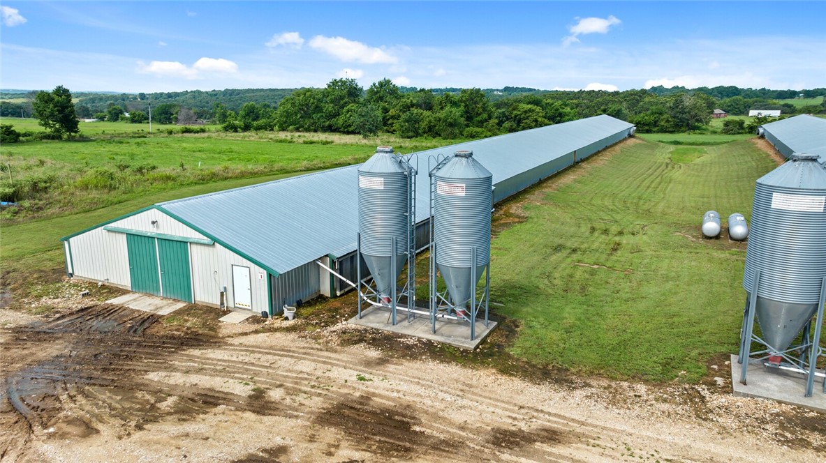 Chickens and dreams - Farm