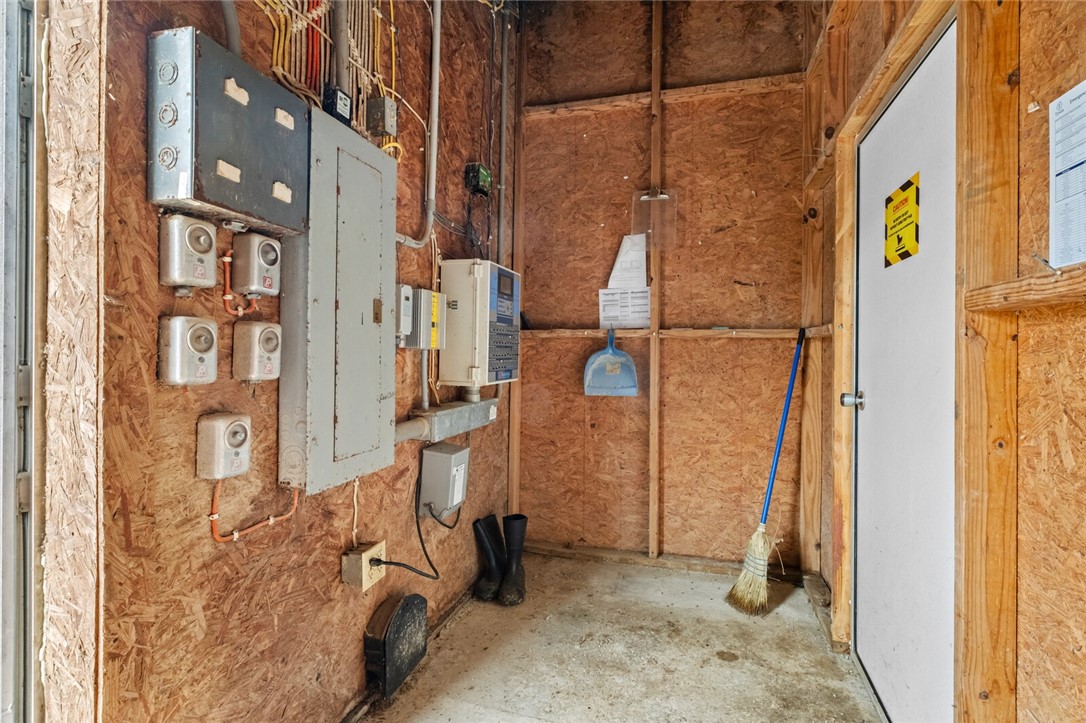 Chickens and dreams - Farm