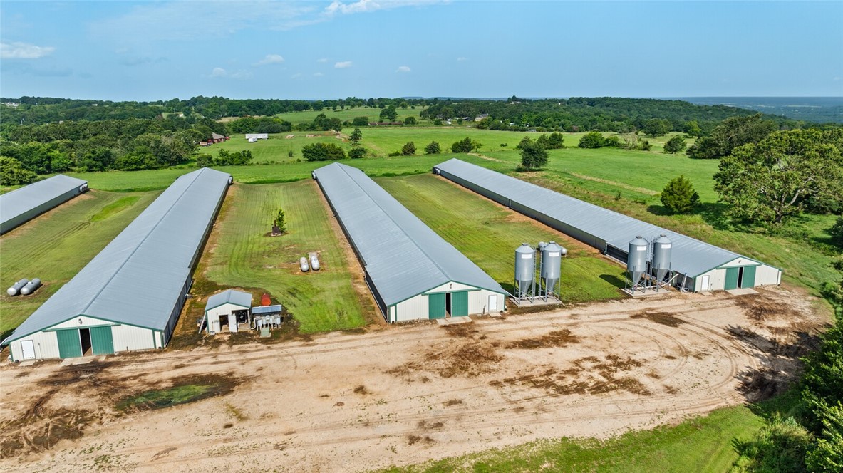 Chickens and dreams - Farm