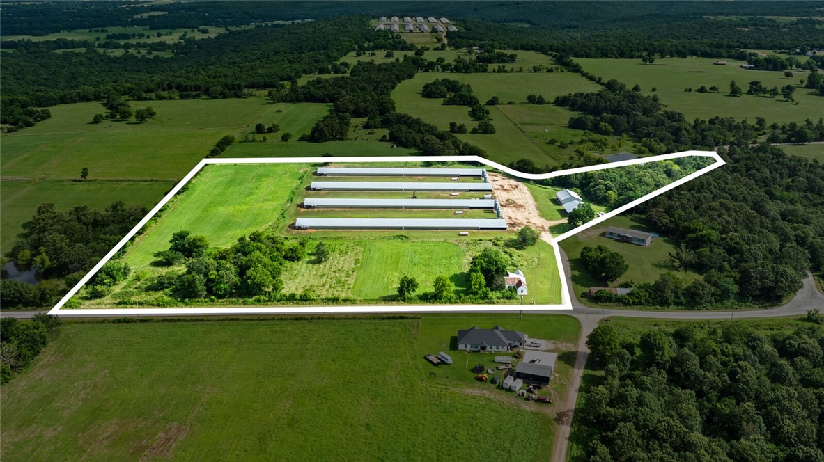 Chickens and dreams - Farm