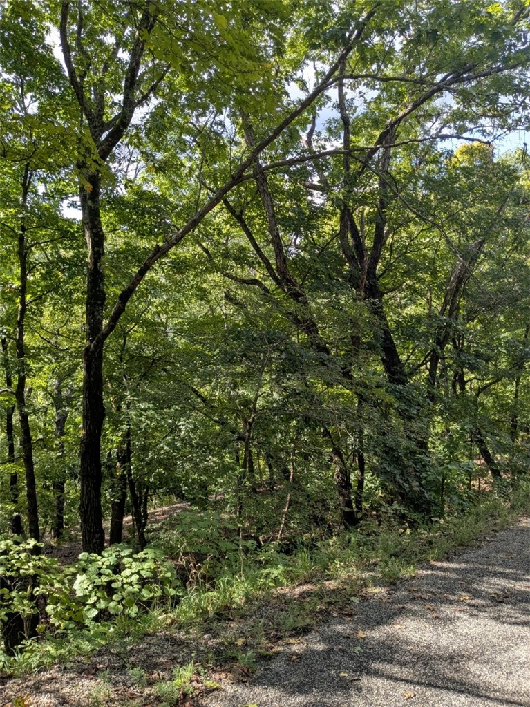 Unit 7 Holiday Island - Land